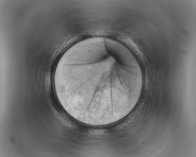 X0000114430202200911131339