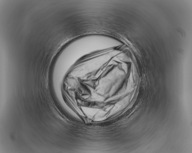 X0000114430203200911131338