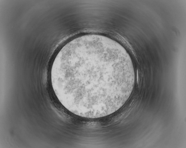 X0000114430204200911131338