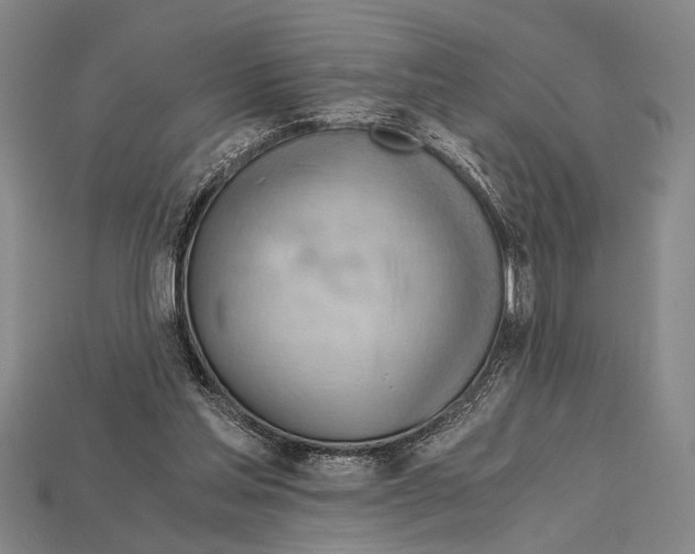 X0000114430205200911131338