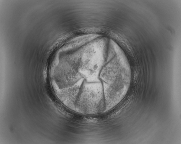 X0000114430206200911131338