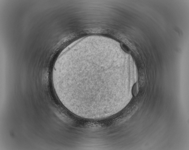 X0000114430207200911131338