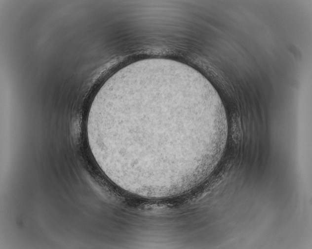 X0000114430208200911131338