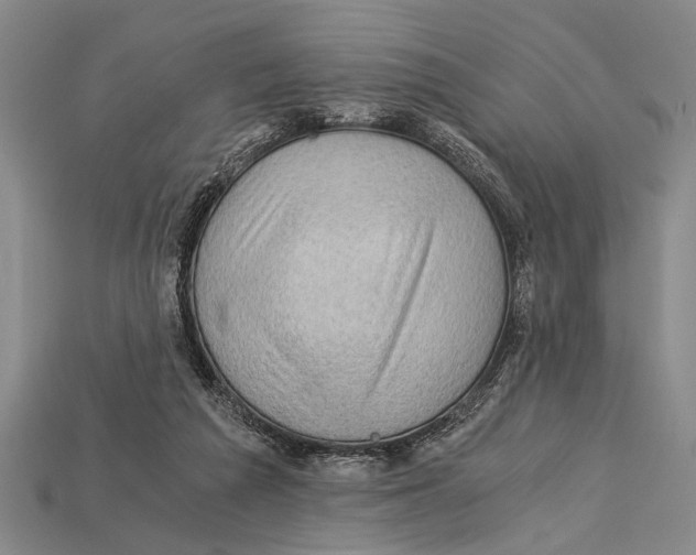 X0000114430209200911131338