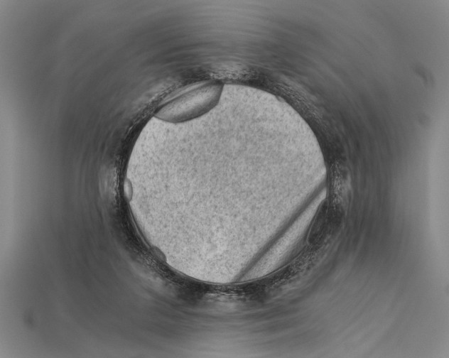 X0000114430211200911131338