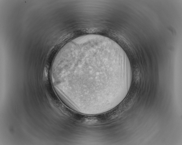 X0000114430214200911131338