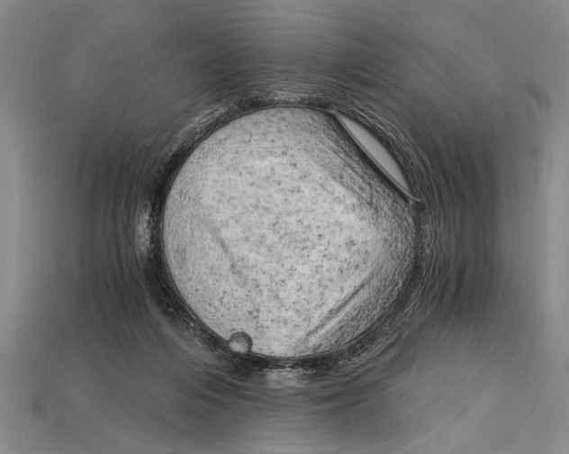 X0000114430216200911131338