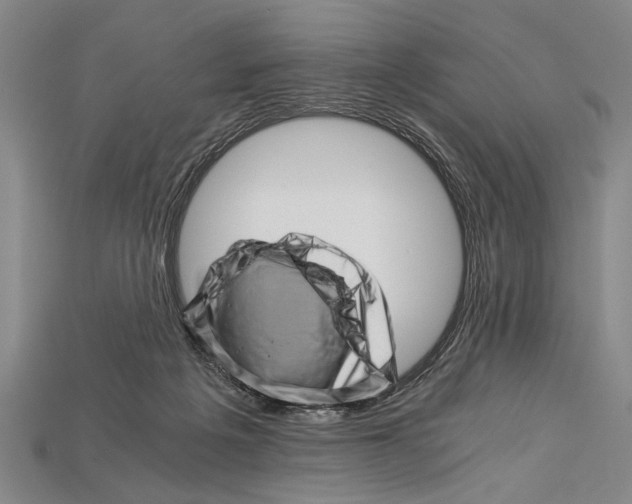 X0000114430217200911131338