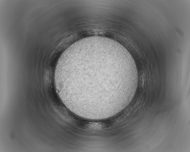 X0000114430218200911131338