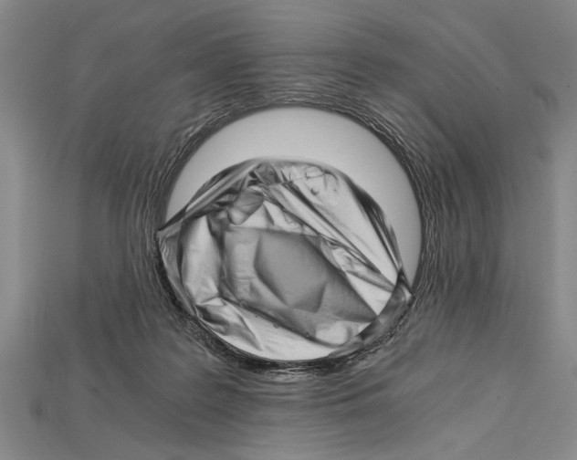 X0000114430219200911131338