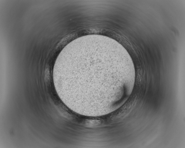 X0000114430220200911131338