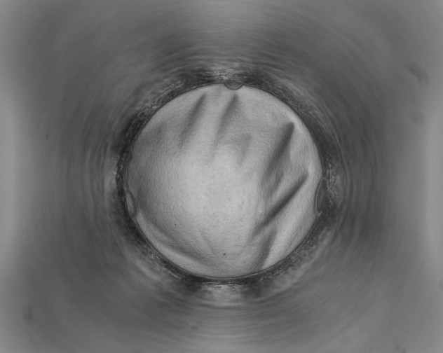 X0000114430221200911131338