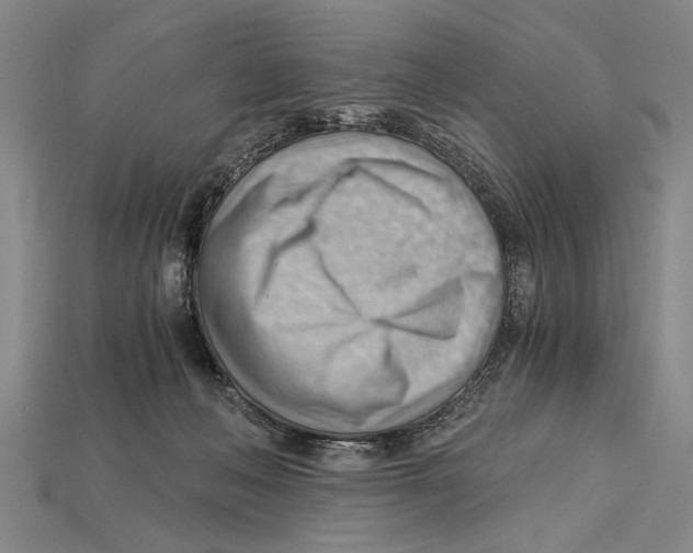 X0000114430222200911131338