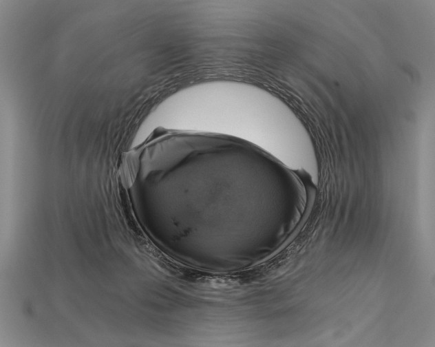 X0000114430223200911131338