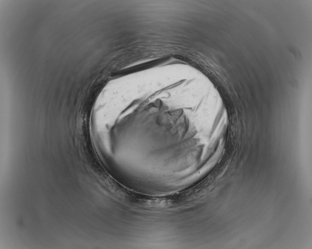 X0000114430225200911131338