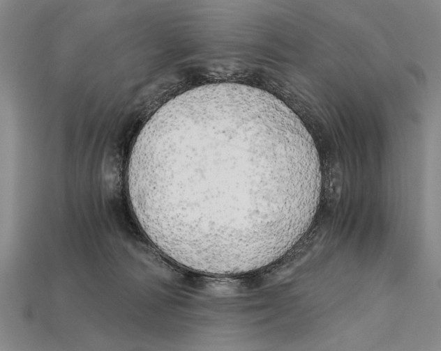 X0000114430226200911131338