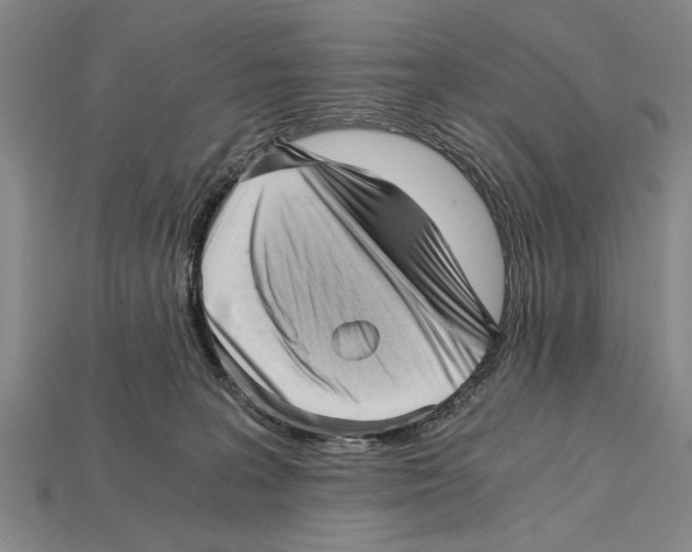 X0000114430227200911131338