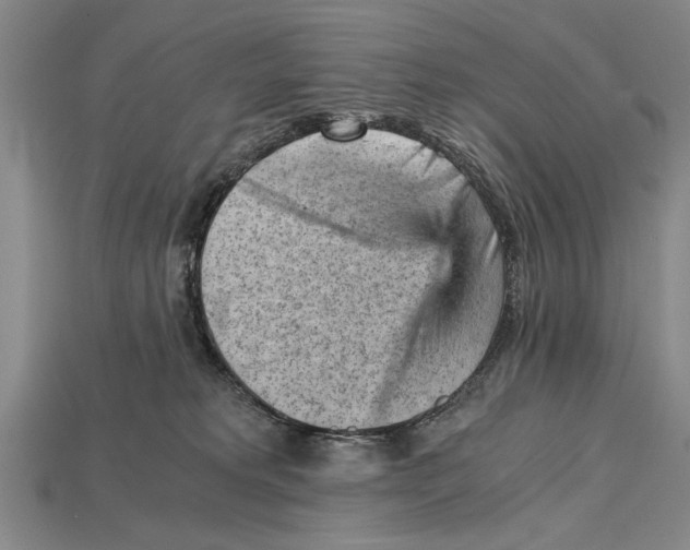 X0000114430229200911131338