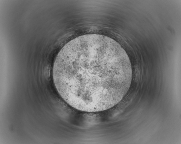 X0000114430230200911131338