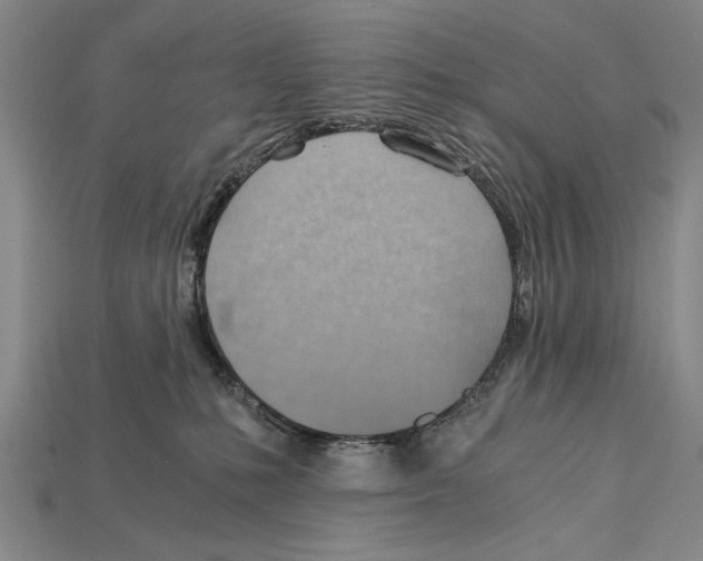 X0000114430231200911131338