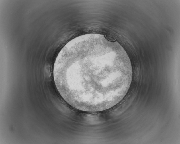 X0000114430232200911131338