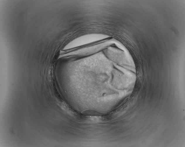 X0000114430233200911131338