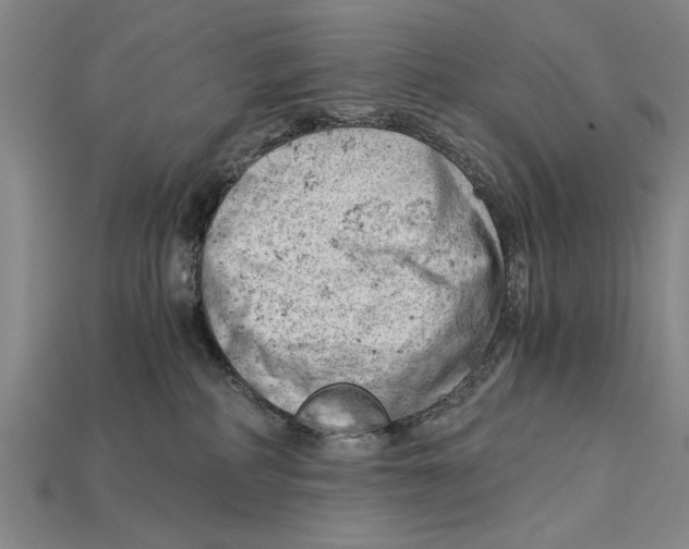 X0000114430234200911131338