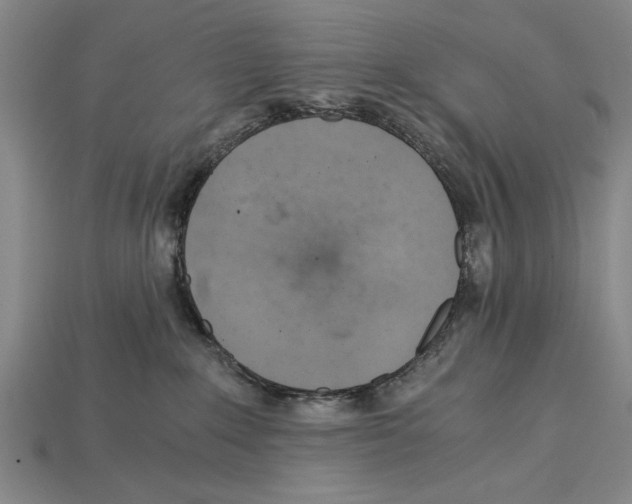 X0000114430235200911131338