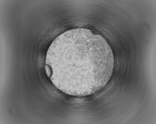 X0000114430236200911131338