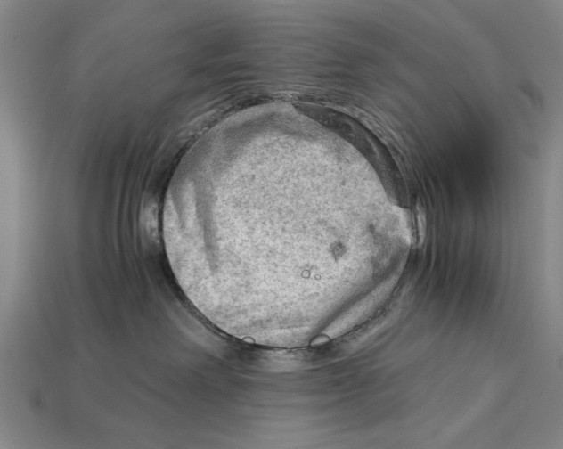 X0000114430238200911131338