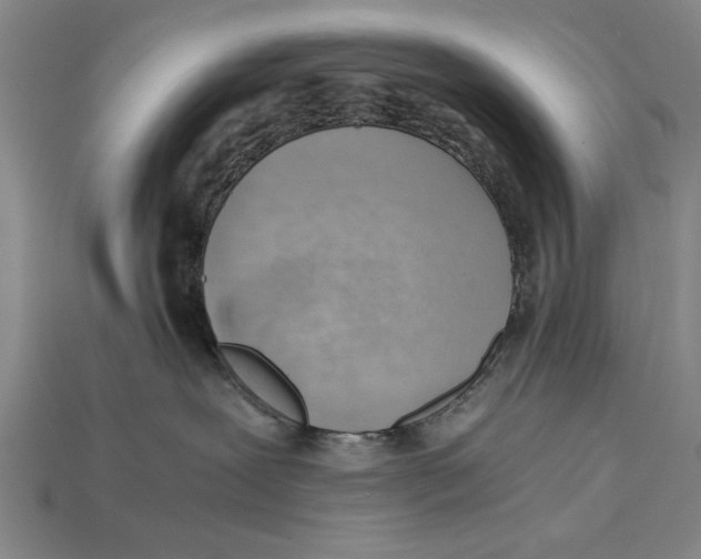 X0000114430239200911131338