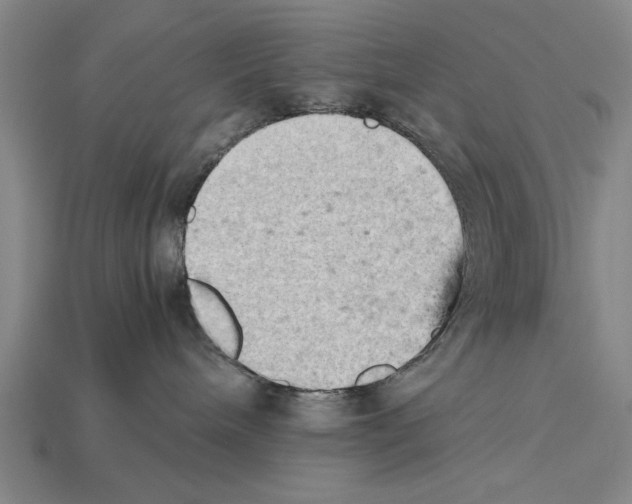 X0000114430240200911131338