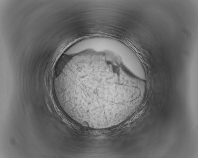 X0000114430241200911131337