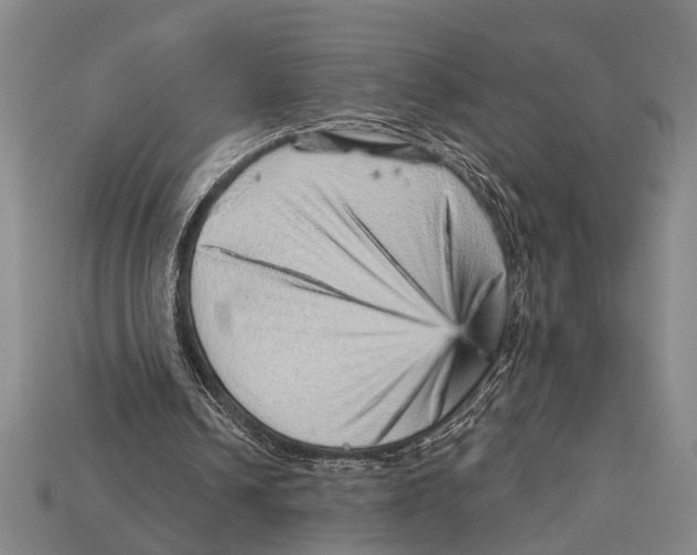 X0000114430242200911131337