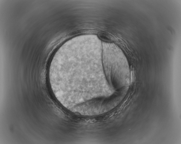 X0000114430243200911131337