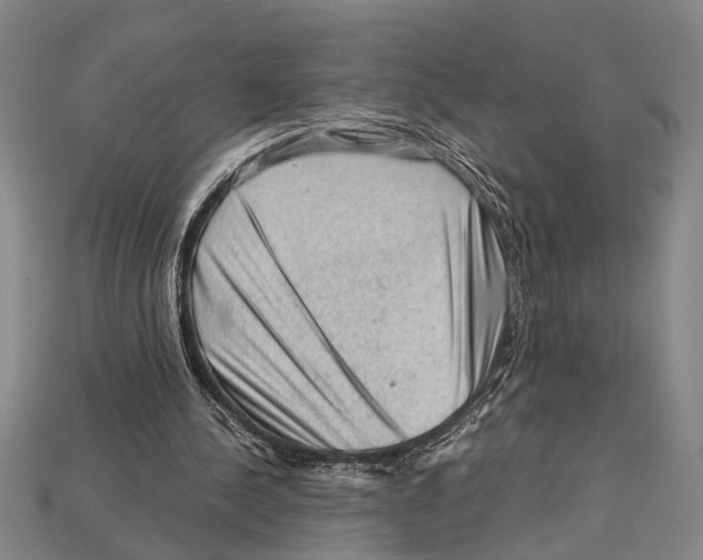 X0000114430244200911131337