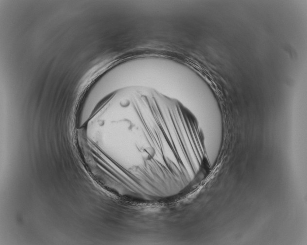 X0000114430245200911131337