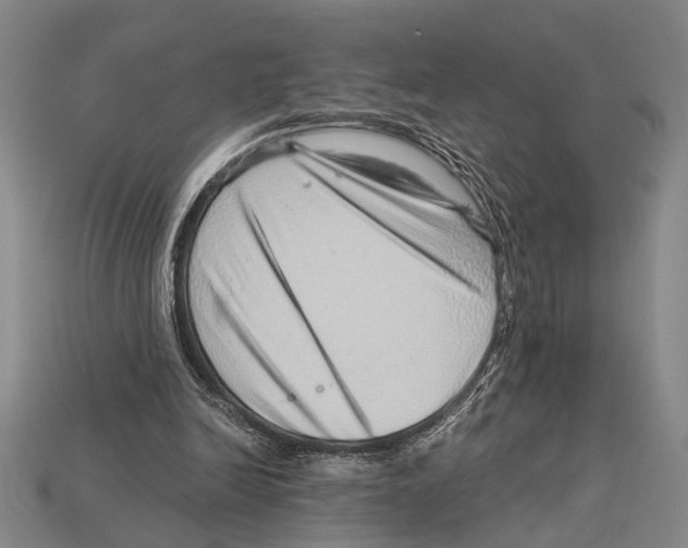 X0000114430246200911131337