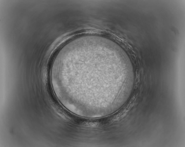 X0000114430247200911131337