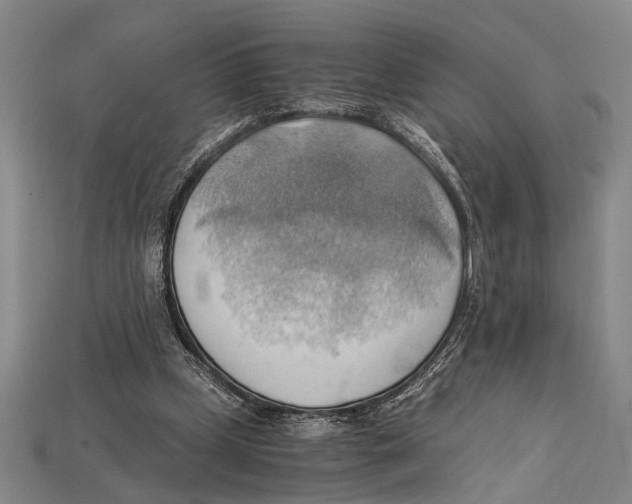 X0000114430249200911131338