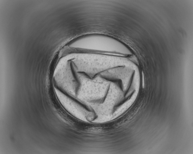 X0000114430252200911131338