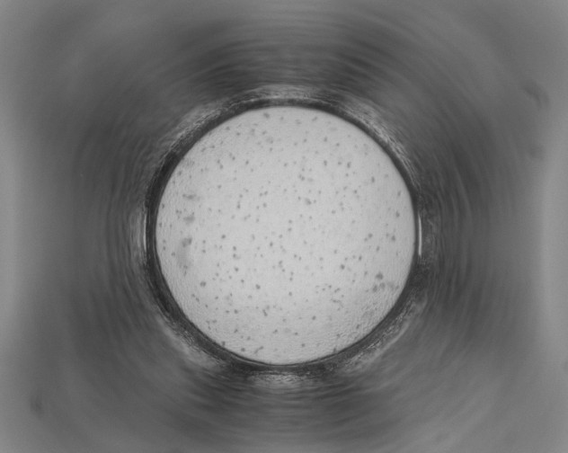 X0000114430253200911131338