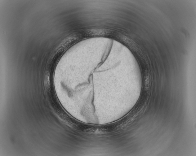 X0000114430254200911131338