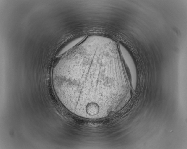 X0000114430255200911131338