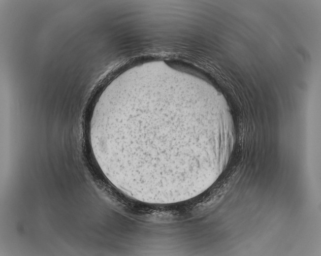 X0000114430256200911131338