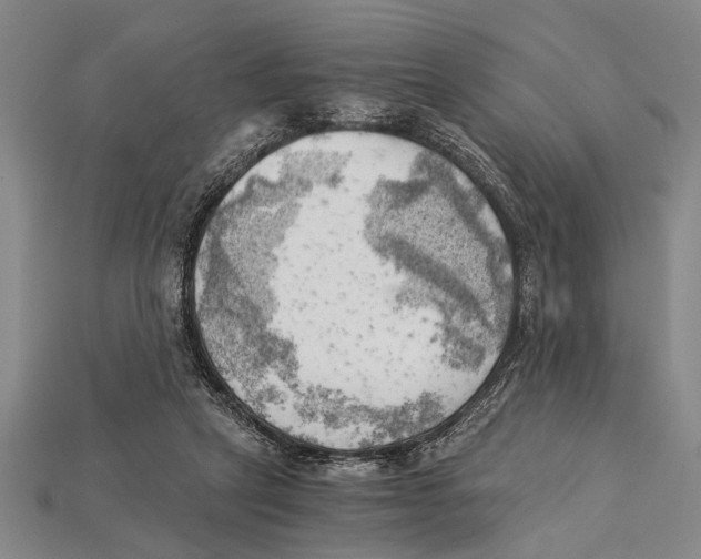 X0000114430257200911131338