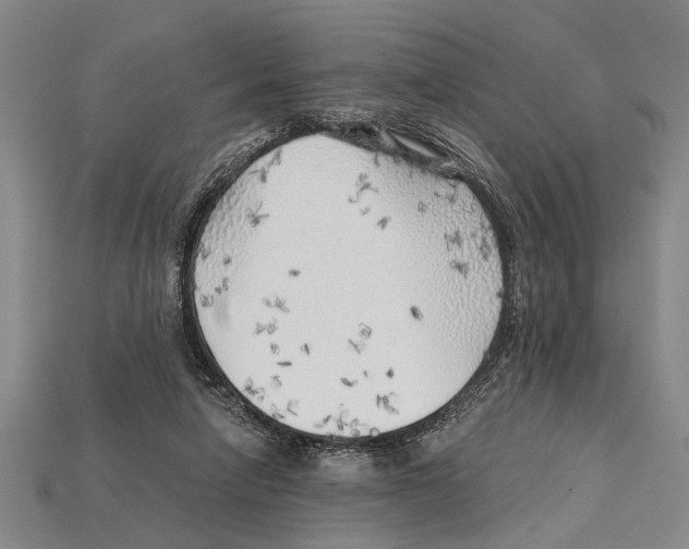 X0000114430258200911131338