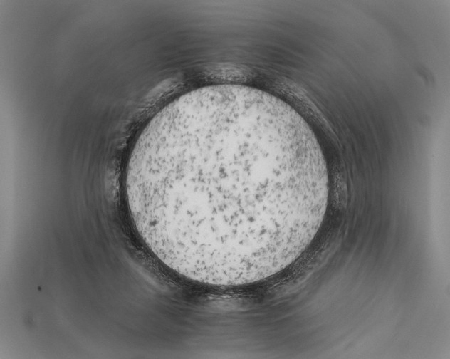X0000114430259200911131338