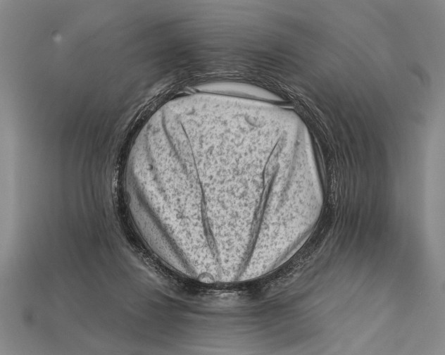 X0000114430260200911131338