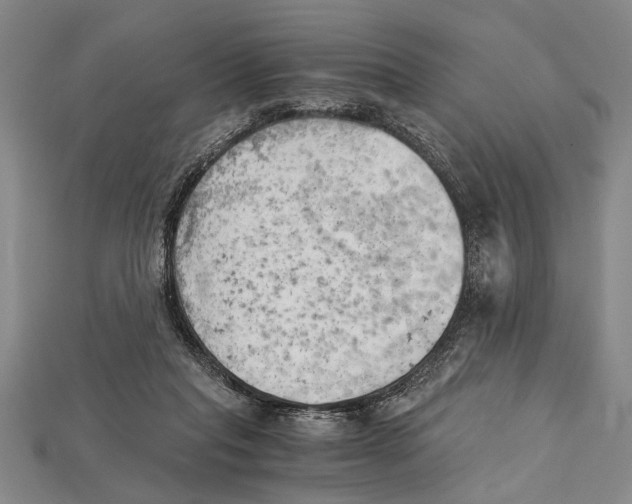 X0000114430261200911131338